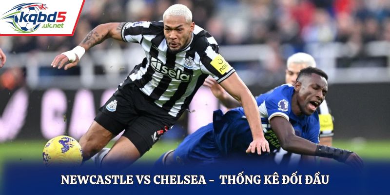 Thống kê kết quả đối đầu giữa Newcastle vs Chelsea